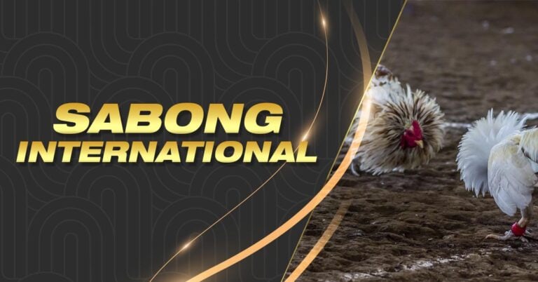 8k8 casino app what happens if the player you bet on gets hurt